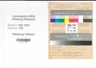 Entnazifizierung Wilhelm Nebelung , geb. 27.01.1889 (Direktor)