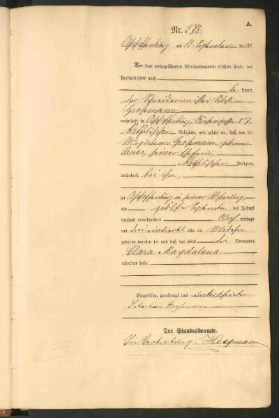 Standesamtsbuch der Stadt Aschaffenburg: Geburten 365/1900 - 184/1901