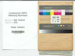 Entnazifizierung Wilhelm Raab , geb. 10.05.1909 (Arzt)