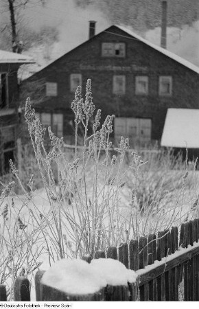Winterlandschaft