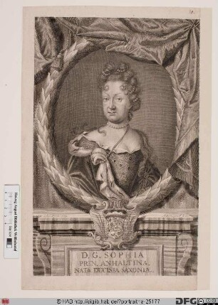 Bildnis Sophia, Fürstin zu Anhalt-Zerbst, geb. Herzogin von Sachsen-Weißenfels