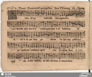 11. Simile est regnum coelorum