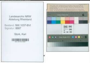 Entnazifizierung Karl Stork , geb. 19.02.1891 (Angestellter)