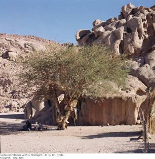 Mittlerer Sinai