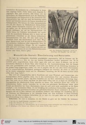 Menschliche Gestalt: Überlieferung und Naturnähe