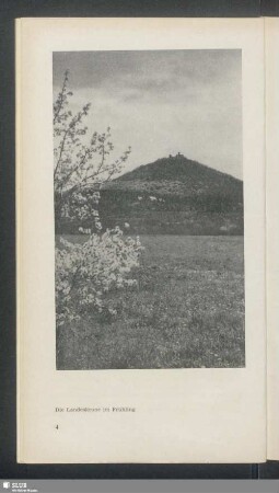 Die Landeskrone im Frühling