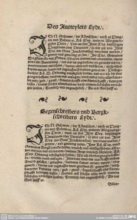 Gegenschreibers und Bergkschreibers Eydt.