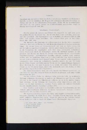 Aderhaut, Chorioidea.