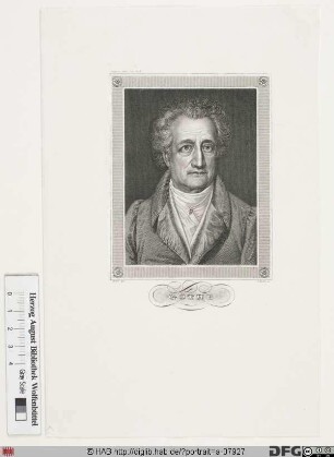 Bildnis Johann Wolfgang Goethe (1782 von)