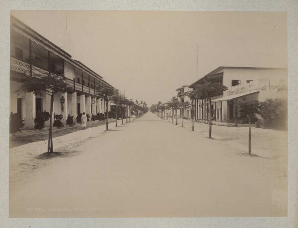 Sous les acacias. Motel Central