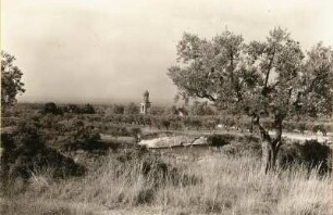 Saint-Rémy-de-Provence. Landschaft mit Julier-Grabmal und Triumphbogen (Reste der Keltenstadt Glanum Livii)