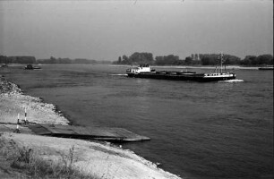 Germersheim: Rhein mit Frachtschiff