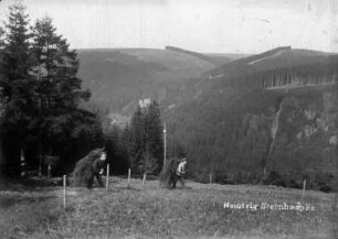 Reisigsammler am Heusteig : re. müsste der Alte Berg sein; Aufnahme passt nicht eindeutig in topografische Karte!