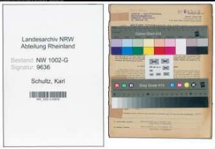 Entnazifizierung Karl Schultz, geb. 10.10.1894 (Kaufm.Angest.)