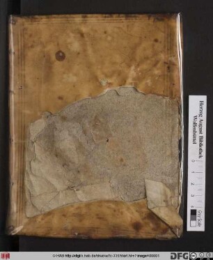 Decalogus, In Quo Virtutes Et Vitia Ex Verbo Dei Et Pia Antiquitate : Quaestiones Item & varia Consilia practica proponuntur: Studiosis Theologiae, Et Maxime Iis, Qui Ad Cathedram educantur, in formandis Concionibus adprime utilis