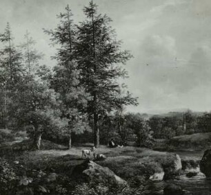 Landschaft bei Dresden