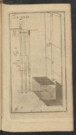 Tab. XVIII