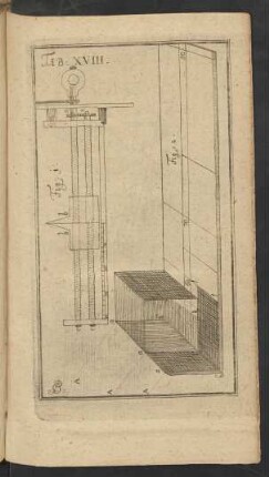 Tab. XVIII