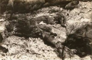 Sächsische Schweiz, Kirnitzschtal. Goldsteig (südwestlich vom Zeughaus). Eisenschüssige Gesteinsadern