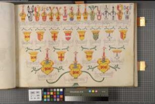 Proband: Schade, Ferdinand von; Vater: Schade, Engelbert Jost Lambert von; Mutter: Schade, Maria Sophia von: Westfalen, Hzgtm, Ritterschaft