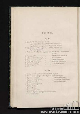 Tafel 10.