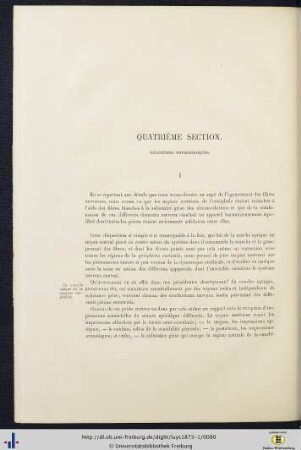 Quatrième Section. Déductions Physiologiques.