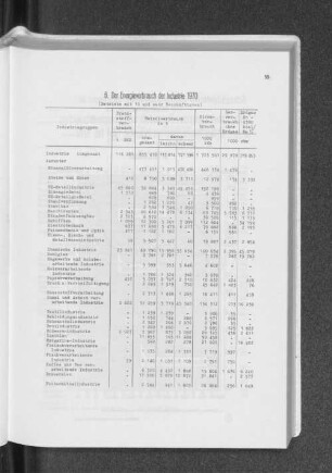 6. Der Energieverbrauch der Industrie 1970
