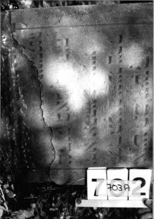 Grabstein 703 (Index: 99802112) Material: Sandstein Zustand: Inschrift unten abgeblättert/Textverlust Maße HxBxT: 69x49x7 cm Beschreibung: Stele mit Karniesbogen und Inschriftenfeld: Grabstein 703A