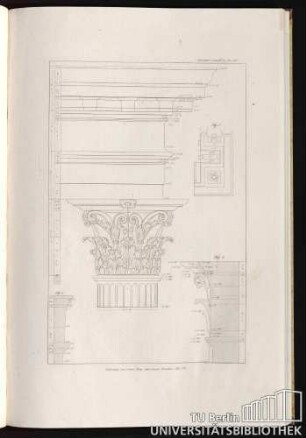 Liefg. V. Pl. III. Ueberreste von einer Stoa oder einem Porticus.