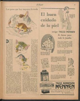 Los gatos que hoy imponen la moda