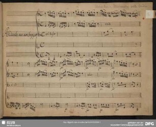 Chi vive amante sai che delira - Mus.1-F-49,6-2 : S, strings, b - C