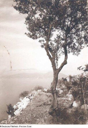 Ufermotiv auf Capri