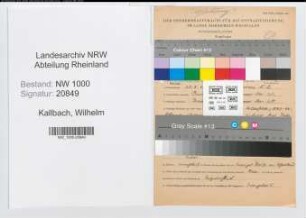 Entnazifizierung Wilhelm Kallbach, geb. 20.05.1892 (Studienrat)