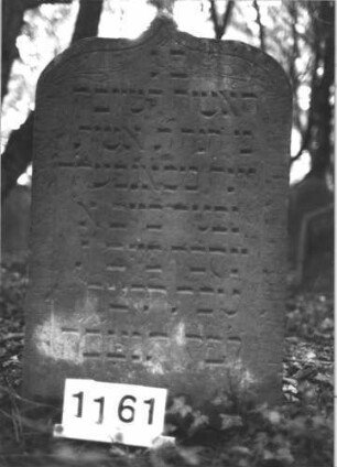 Grabstein 1161 (Index: 99899881) Material: Sandstein Zustand: unten angewittert Maße HxBxT: 90x54x8 cm Beschreibung: Stele mit Konvexbogenabschluss, im Bogenfeld Blumen Symbolik: Blumen: Grabstein 1161