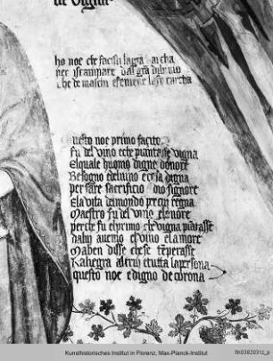 Noah mit Weinrebe - Dekoration der Südwand und der südlichen Gewölbezwickel