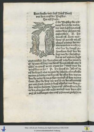 Das fünnfte und letst Buoch
