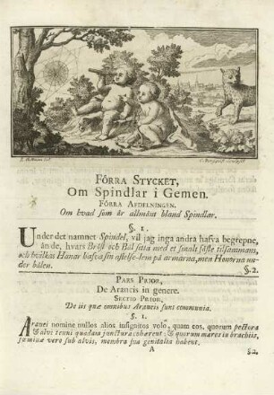 Foerra Afdelningen. Om hvad som aer allmaent bland Spindlar