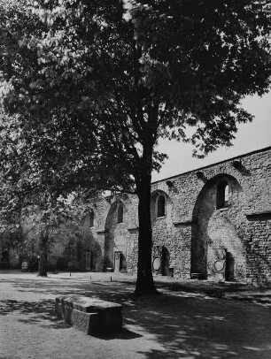 Archivfotografie "oberrhein_frankenthal_p1035"