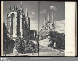 2 Dom und Severikirche