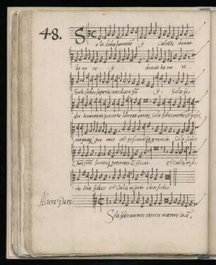 II. Sola fides animas