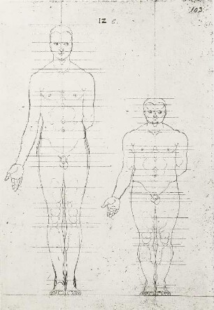 Schlanker und untersetzter Mann von vorn mit Proportionslinien : Dresdner Skizzenbuch (1507/1528). Schlanker und untersetzter Mann von vorn mit Proportionslinien (aus: R. Bruck: Das Skizzenbuch von Albrecht Dürer, Straßburg 1905, Tafel 16, Blatt 103r, Str. 73, Kriegsverlust). Dresden: SLUB Mscr.Dresd.R.147.f