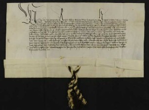 Kaiser Sigmund erteilt Bürgermeister, Rat und Bürgerschaft der Stadt Ulm die Erlaubnis, Trompeter und Posaunisten anzustellen und ihre Urkunden mit rotem Wachs zu siegeln.