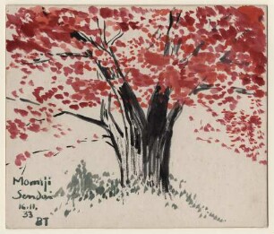 Naturstudie/Baum
