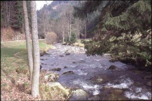 Die Elz im Elztal