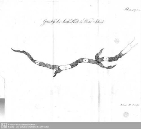Grundriß der Surth-Höhle in Wester Island (Tab. X., pag. 53-68)