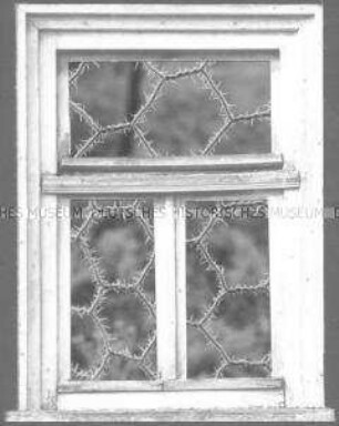 Collage: Fenster, dahinter mit Raureif bedecktes Zaungitter (Altersgruppe 18-21)
