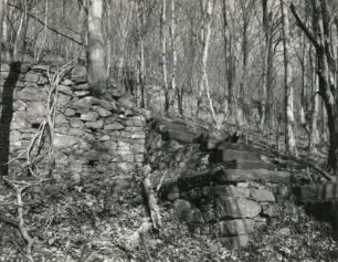 Radebeul, Augustusweg 110. Park der Villa "Jägerberg". Treppe und Mauern eines ehemaligen Weinberges