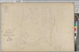 Assinghausen (Olsberg), Separation Assinghausen, Bl.2 Brouillonkarte I Flur 5,1