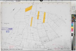 Littfeld (Kreuztal), Zusammenlegung Littfeld, Bl.4 Zuteilungskarte Littfeld Flur 9