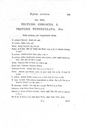 Tab. XXIX. Testudo Coriacea. Testudo Tuberculata.